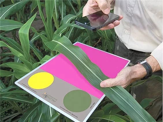 FieldScout GreenIndex+ za oceno zelenosti listov